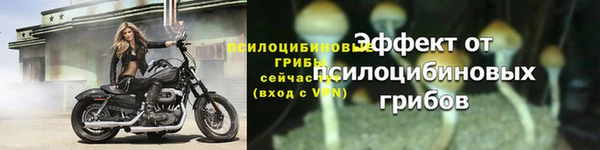 mdpv Кодинск