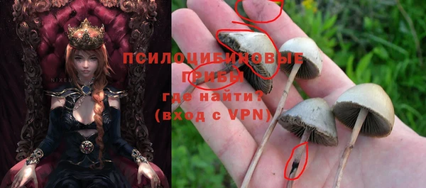 спайс Козельск