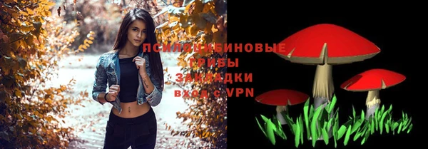 ешки Костерёво