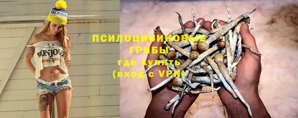 твердый Коряжма