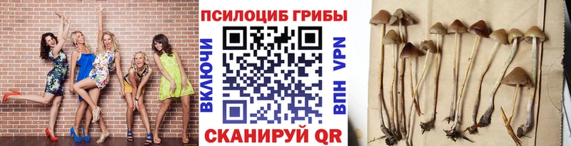 Псилоцибиновые грибы GOLDEN TEACHER Медногорск
