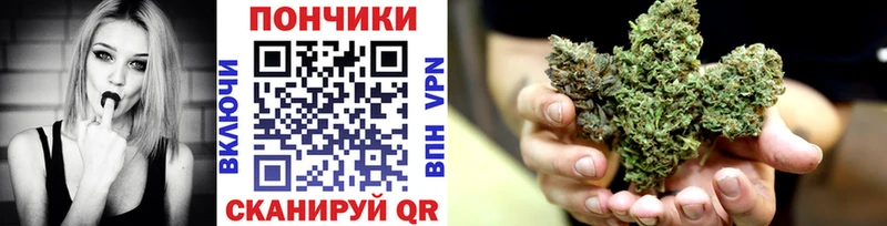 Бошки Шишки конопля Медногорск